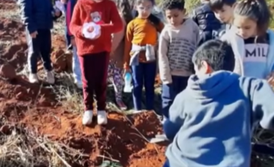 Continuação Projeto Meio Ambiente