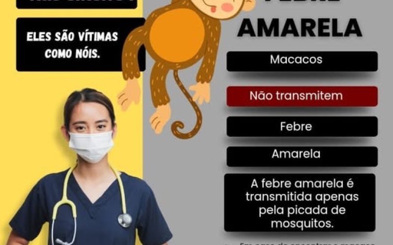 Conscientização Febre Amarela