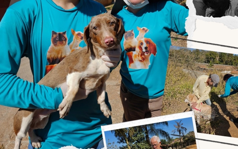 Campanha de Vacinação Antirrábica 2025