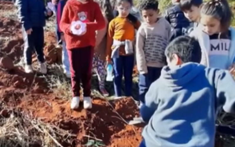 Continuação Projeto Meio Ambiente